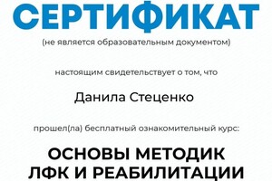 Стеценко Данила Иванович — Портфолио №6