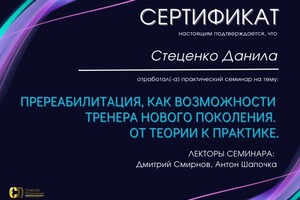 Стеценко Данила Иванович — Портфолио №7