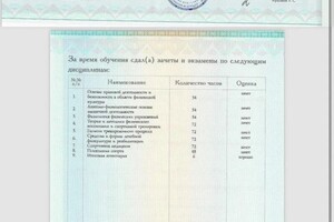 Диплом / сертификат №3 — Летунов Сергей Васильевич