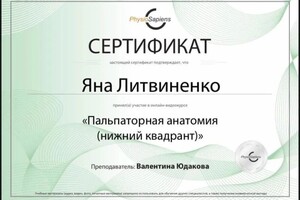 Диплом / сертификат №13 — Литвиненко Яна Эдуардовна