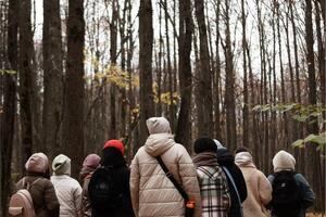 Практики лесотерапии в Горкинско-Ометьевском лесу — Никитин Дмитрий Александрович