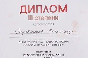 Диплом / сертификат №3 — Садовников Александр Александрович