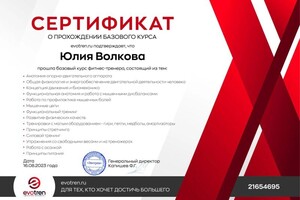 Диплом / сертификат №3 — Волкова Юлия Владленовна