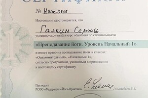 Диплом / сертификат №10 — Галкин Сергей Владимирович