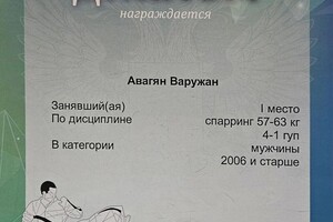 Диплом / сертификат №1 — Авгвян Варужан Гаевич