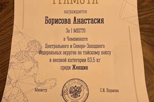 Диплом / сертификат №6 — Борисова Анастасия Вадимовна