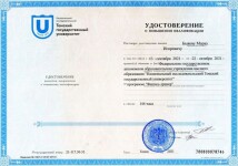 Диплом / сертификат №1 — Быков Марк Игоревич