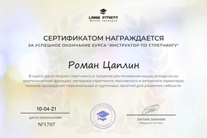 Диплом / сертификат №1 — Цаплин Роман Игоревич