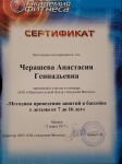 Диплом / сертификат №3 — Черашева Анастасия Геннадьевна