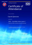 Диплом / сертификат №9 — Данилов Сергей Александрович