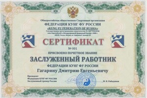 Диплом / сертификат №5 — Гагарин Дмитрий Евгеньевич