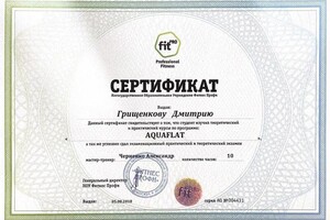 Диплом / сертификат №16 — Грищенков Дмитрий Игоревич