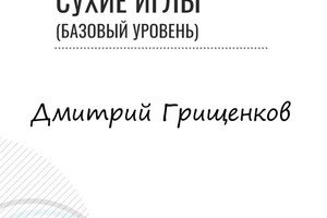 Диплом / сертификат №22 — Грищенков Дмитрий Игоревич