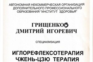 Диплом / сертификат №24 — Грищенков Дмитрий Игоревич