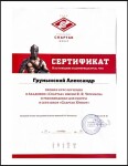 Диплом / сертификат №8 — Грумынский Александр Александрович