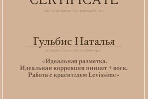 Диплом / сертификат №6 — Гульбис Наталья Константиновна