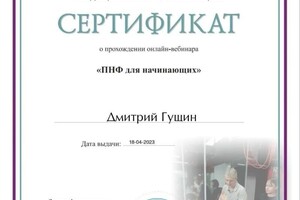 Диплом / сертификат №11 — Гущин Дмитрий Артурович