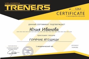 Диплом / сертификат №1 — Иванова Юлия Константиновна