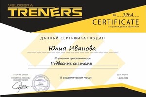 Диплом / сертификат №5 — Иванова Юлия Константиновна