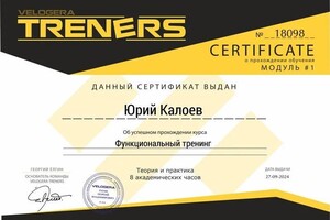 Диплом / сертификат №16 — Калоев Юрий Аланович