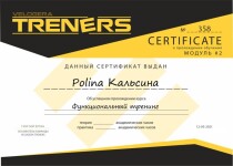 Диплом / сертификат №2 — Кальсина Полина Олеговна