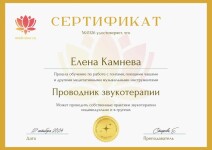 Диплом / сертификат №1 — Камнева Елена Юрьевна