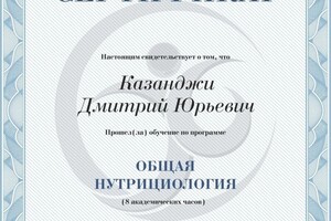 Диплом / сертификат №26 — Казанджи Дмитрий Юрьевич