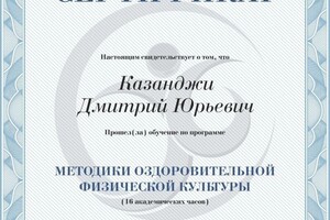 Диплом / сертификат №28 — Казанджи Дмитрий Юрьевич