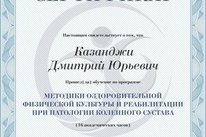 Диплом / сертификат №3 — Казанджи Дмитрий Юрьевич