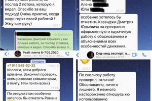 Отзывы научных руководителей по результатам моих итоговых научных работ — Казанджи Дмитрий Юрьевич