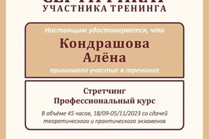 Диплом / сертификат №3 — Кондрашова Алёна Владимировна