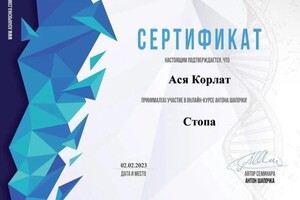 Диплом / сертификат №2 — Корлат Ася Михайловна