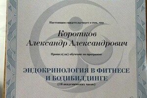 Диплом / сертификат №5 — Коротков Александр Александрович