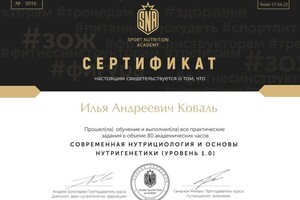 Диплом / сертификат №2 — Коваль Илья Андреевич