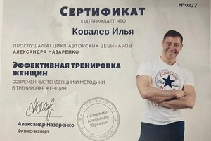 Диплом / сертификат №2 — Ковалев Илья Владимирович