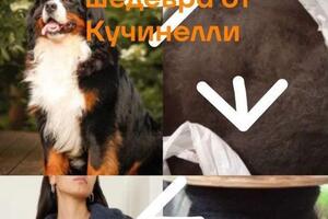 Весь процесс от вычеса собачьего пуха, чесание, прядение и вязание готового изделия по Вашим эскизам, размерам и... — Кожевникова Ольга Петровна