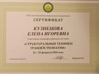 Диплом / сертификат №15 — Кузнецова Елена Игоревна