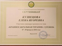 Диплом / сертификат №17 — Кузнецова Елена Игоревна