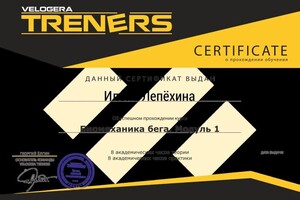 Диплом / сертификат №13 — Лепёхина Илона Витальевна