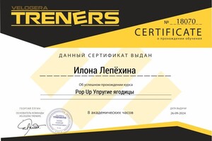 Диплом / сертификат №16 — Лепёхина Илона Витальевна