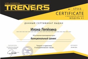 Диплом / сертификат №8 — Лепёхина Илона Витальевна