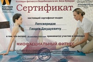 Диплом / сертификат №13 — Лепсверидзе Гиорги Джудуевич