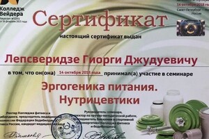 Диплом / сертификат №4 — Лепсверидзе Гиорги Джудуевич