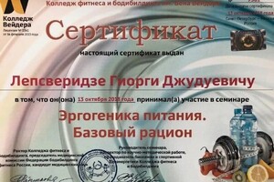 Диплом / сертификат №7 — Лепсверидзе Гиорги Джудуевич