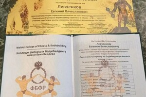 Диплом / сертификат №5 — Левченков Евгений Вячеславович