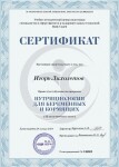 Диплом / сертификат №15 — Лихолетов Игорь Николаевич