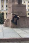 Wallride nollie out — Максимов Евгений Евгеньевич