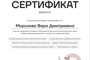 Диплом / сертификат №8 — Морозова Вера Дмитриевна