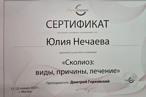 Диплом / сертификат №2 — Нечаева Юлия Валерьевна