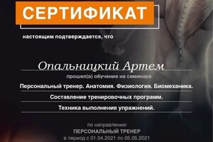 Диплом / сертификат №1 — Опальницкий Артем Игоревич